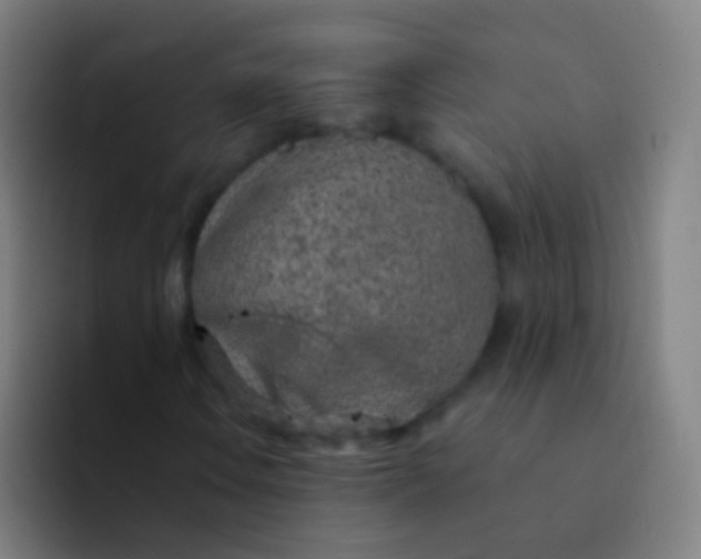 X0000094331106200711161944