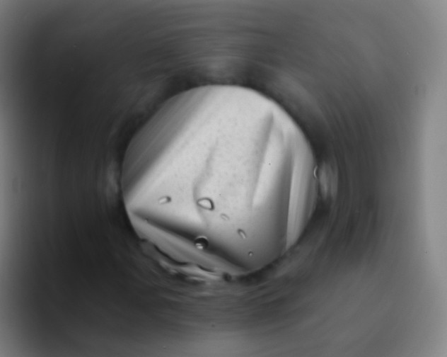 X0000094331107200711161944