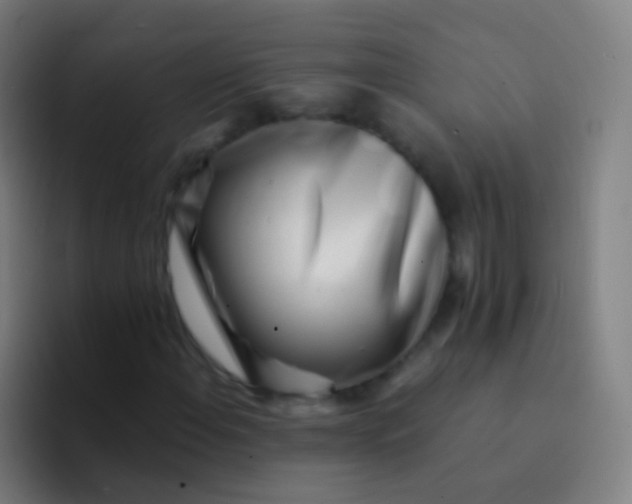 X0000094331108200711161944