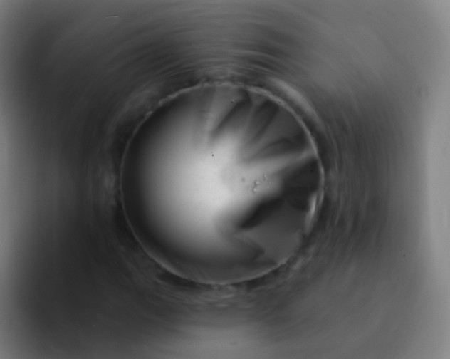 X0000094331111200711161944