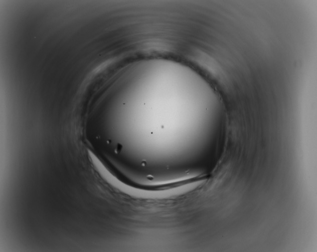 X0000094331112200711161944