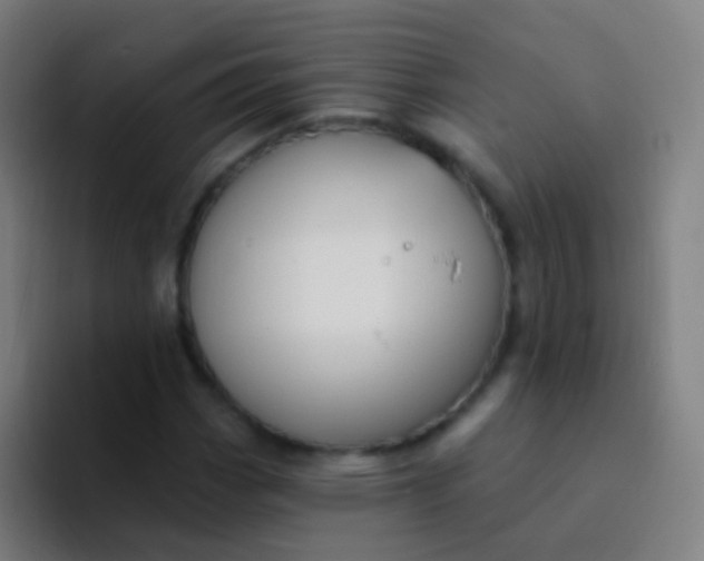 X0000094331113200711161944