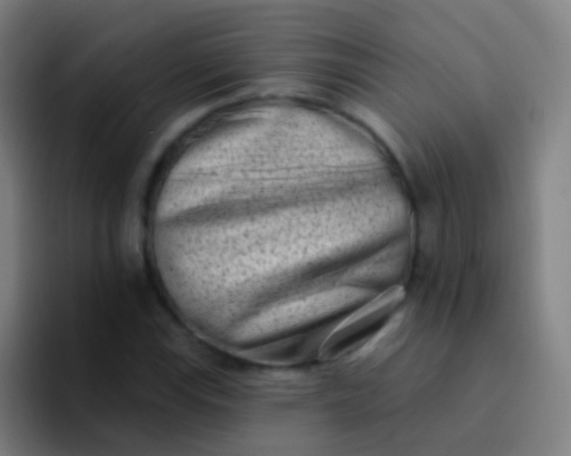 X0000094331115200711161944