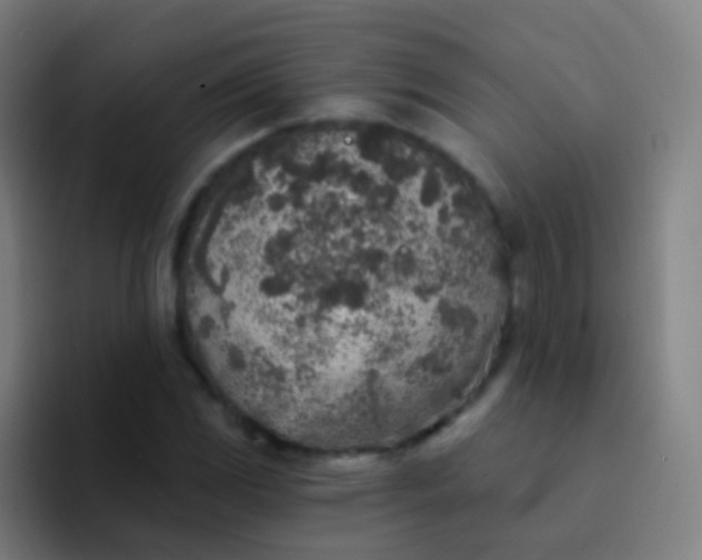 X0000094331117200711161944