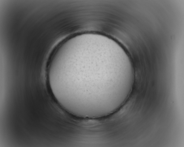 X0000094331119200711161944