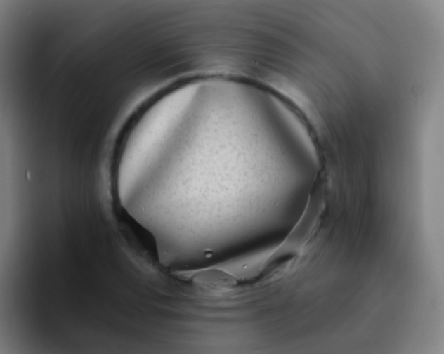 X0000094331120200711161944