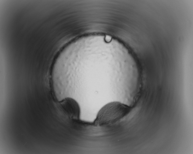 X0000094331121200711161944