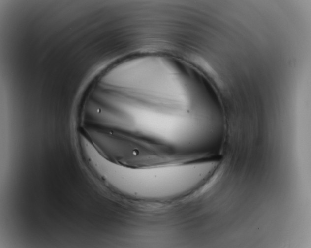 X0000094331122200711161944