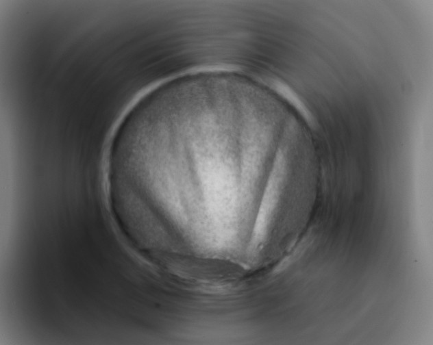 X0000094331124200711161944