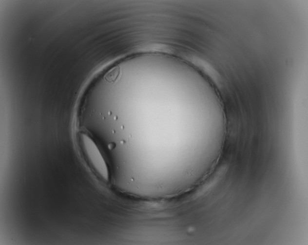 X0000094331125200711161944