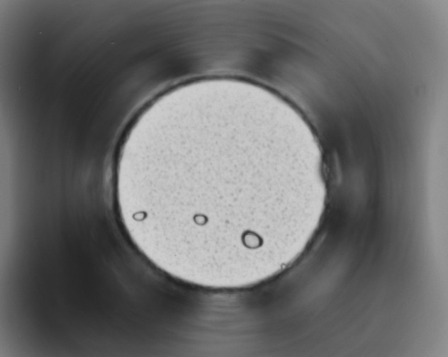 X0000094331126200711161944