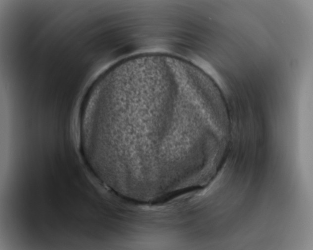 X0000094331127200711161944