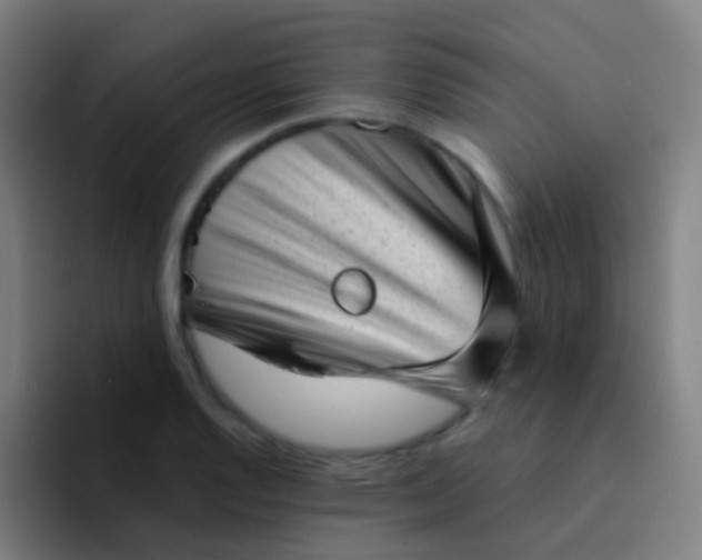 X0000094331128200711161944