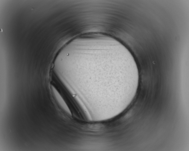 X0000094331129200711161944