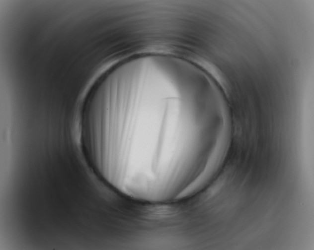 X0000094331131200711161944