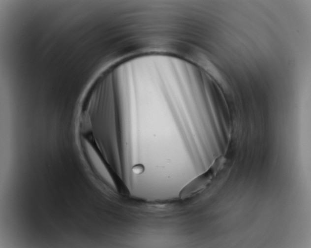 X0000094331132200711161944