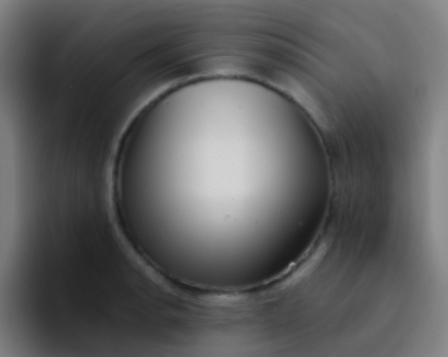 X0000094331134200711161944