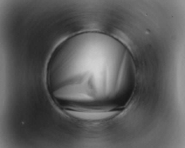X0000094331135200711161944
