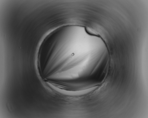 X0000094331136200711161944