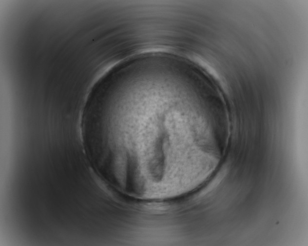 X0000094331137200711161944