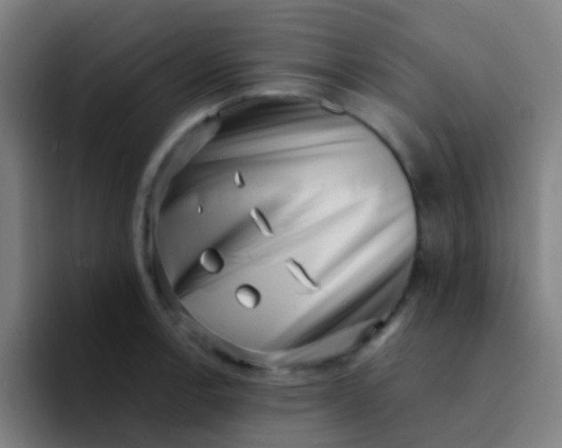 X0000094331138200711161944