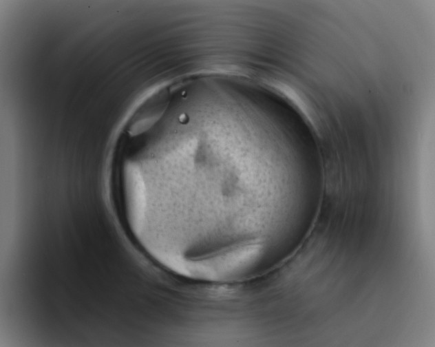 X0000094331139200711161944