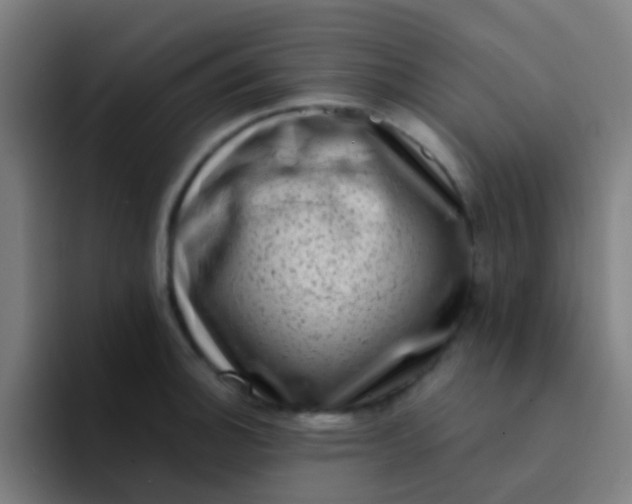 X0000094331140200711161944