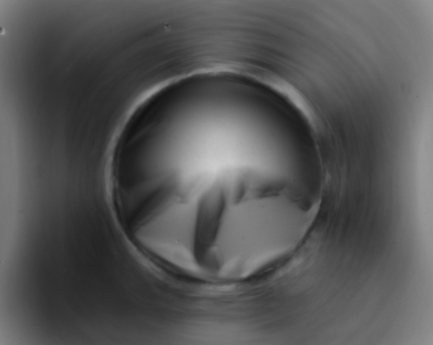 X0000094331143200711161944