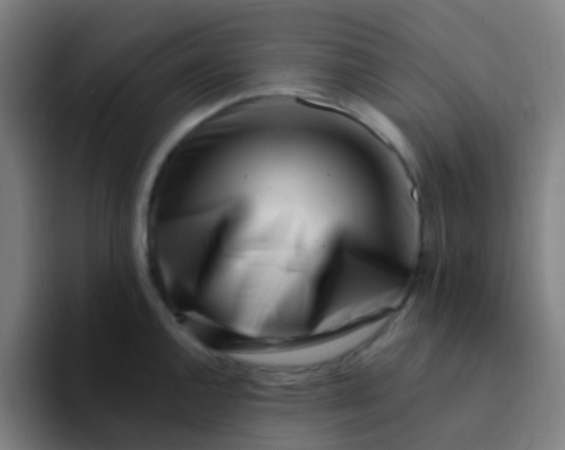 X0000094331144200711161944