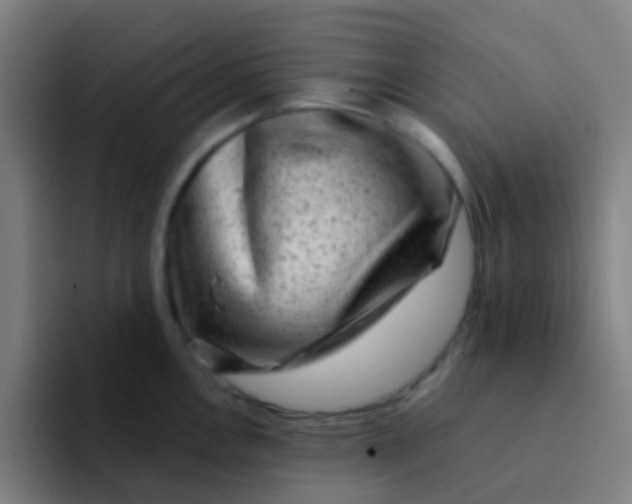 X0000094331146200711161944