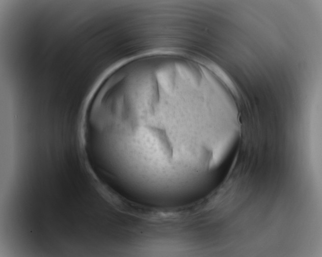 X0000094331148200711161945