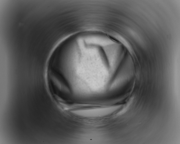X0000094331149200711161945