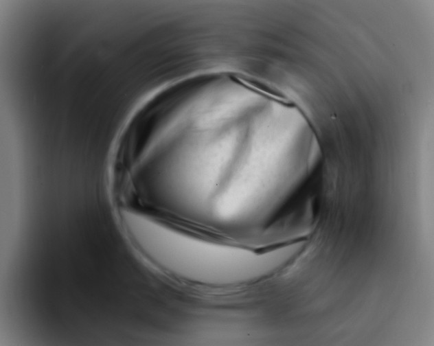 X0000094331151200711161945