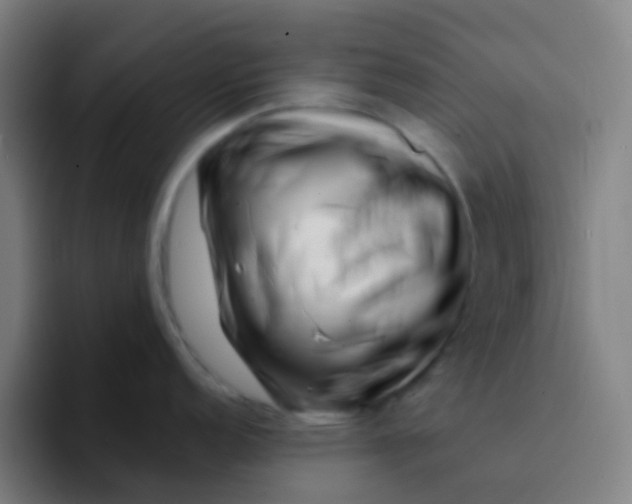 X0000094331152200711161945