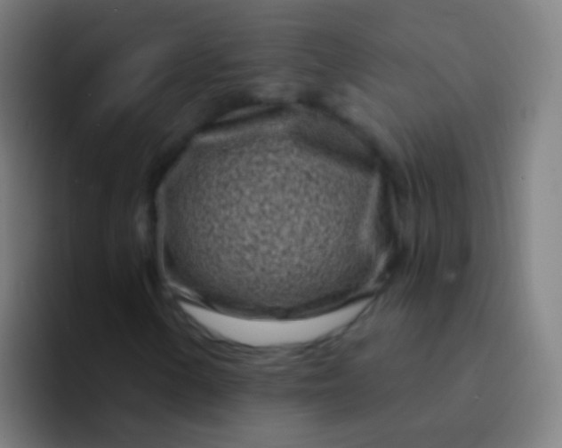 X0000094331154200711161944