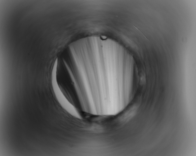 X0000094331156200711161944