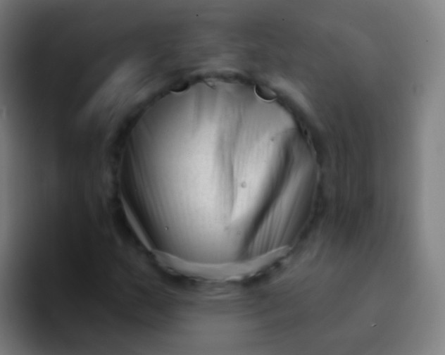 X0000094331159200711161944