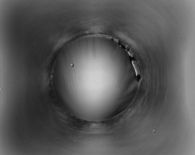 X0000094331160200711161944
