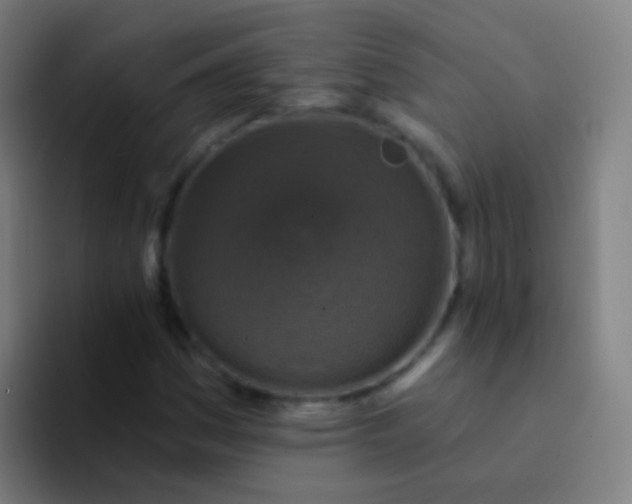 X0000094331161200711161944