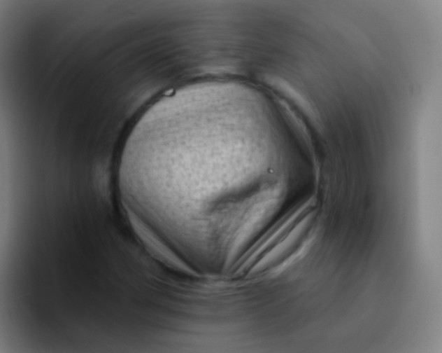 X0000094331162200711161944