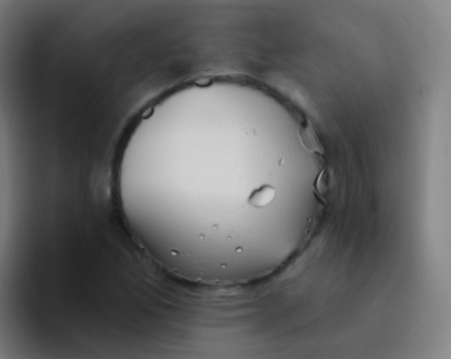 X0000094331165200711161944