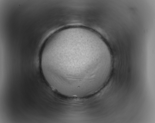 X0000094331167200711161944