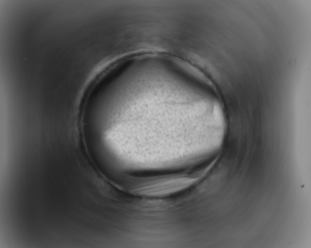 X0000094331168200711161944