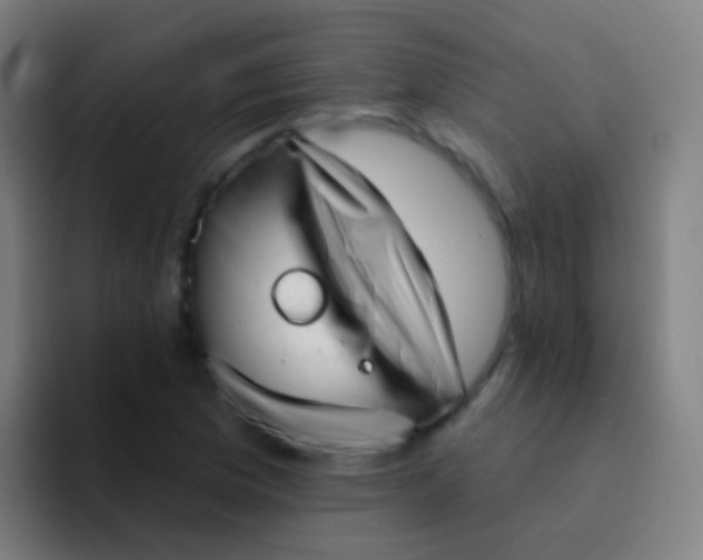 X0000094331169200711161944