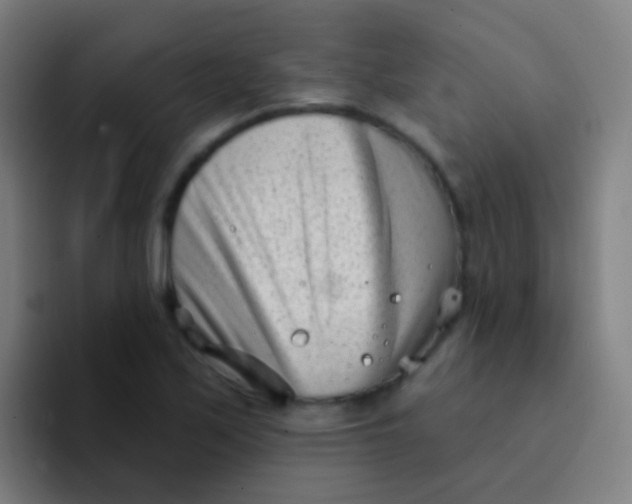 X0000094331171200711161944