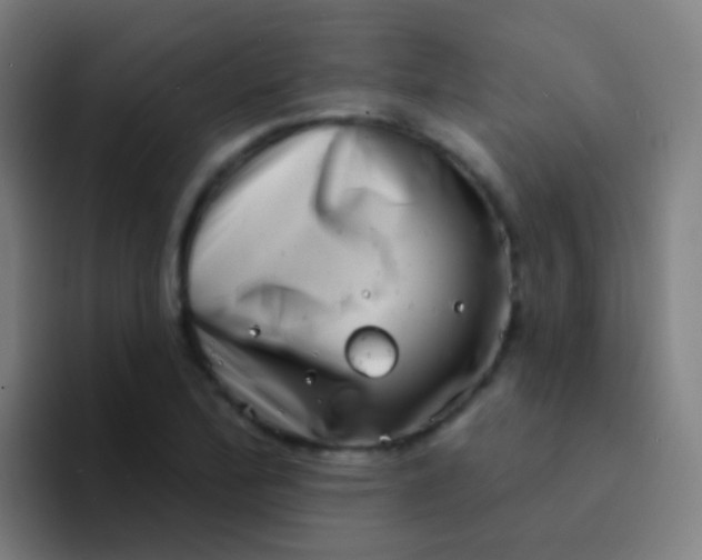 X0000094331172200711161944