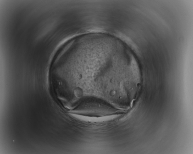 X0000094331174200711161944