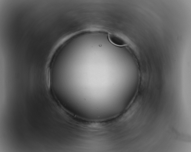 X0000094331175200711161944