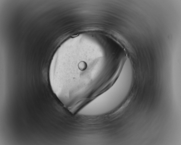 X0000094331177200711161944