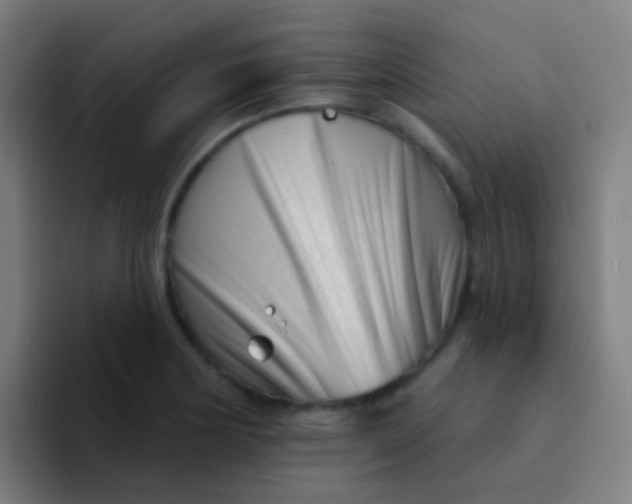 X0000094331178200711161944